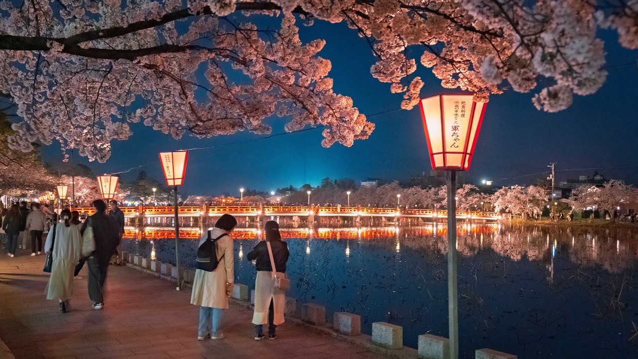 Springtime in Countryside Japan 🇯🇵 | We Chased Cherry Blossoms... Was It Worth It?