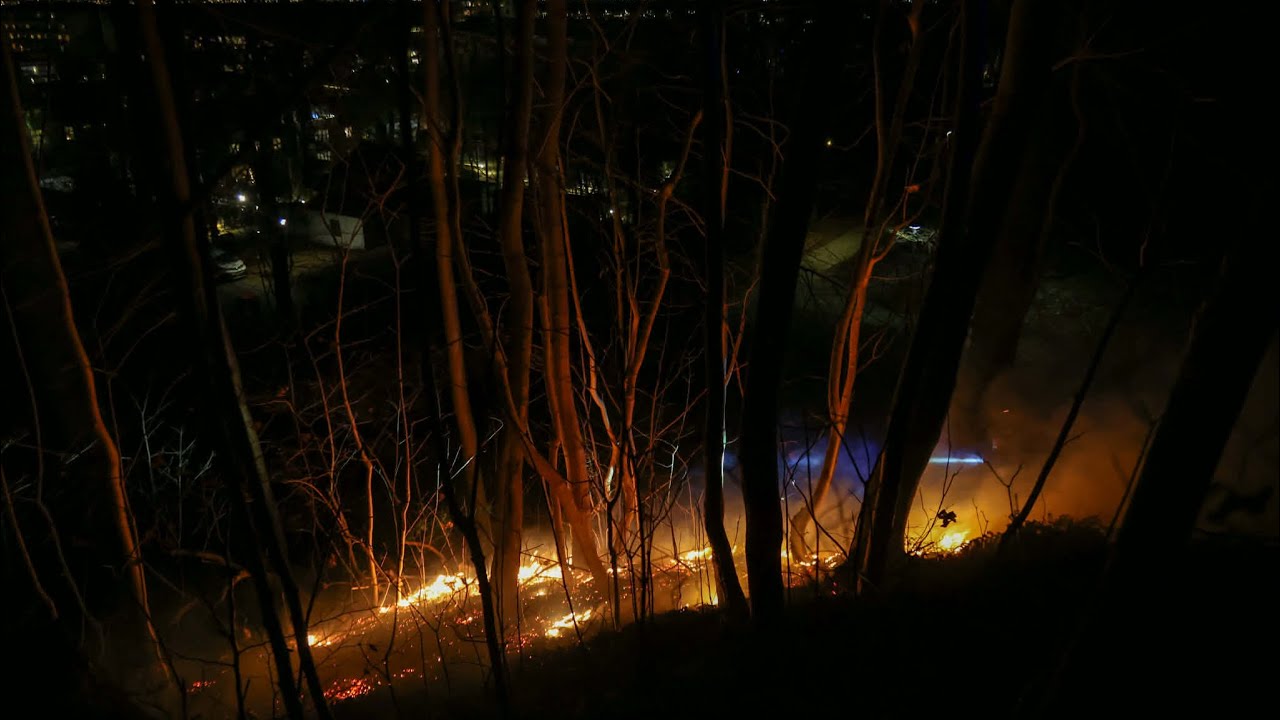 Mindre brand i skovbund i Helsing&oslash;r Tirsdag aften 30/12-25
