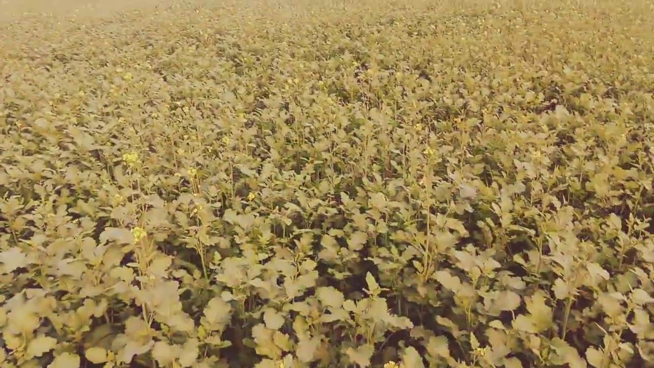 Vir The Robot Boy in Hindi: New Compilation (2 )| Animated Series | Wow Cartoons