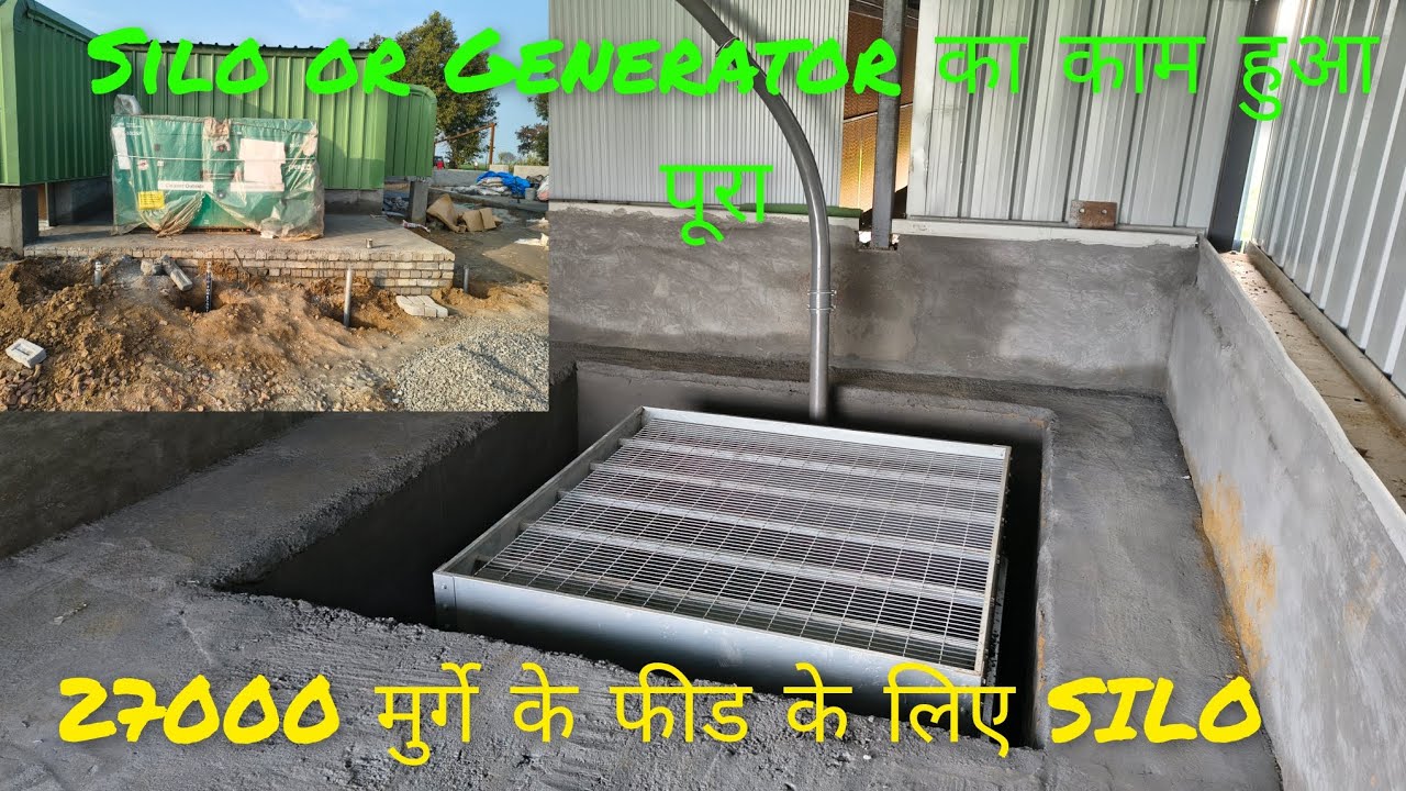मुर्गो के फीड के लिए silo 