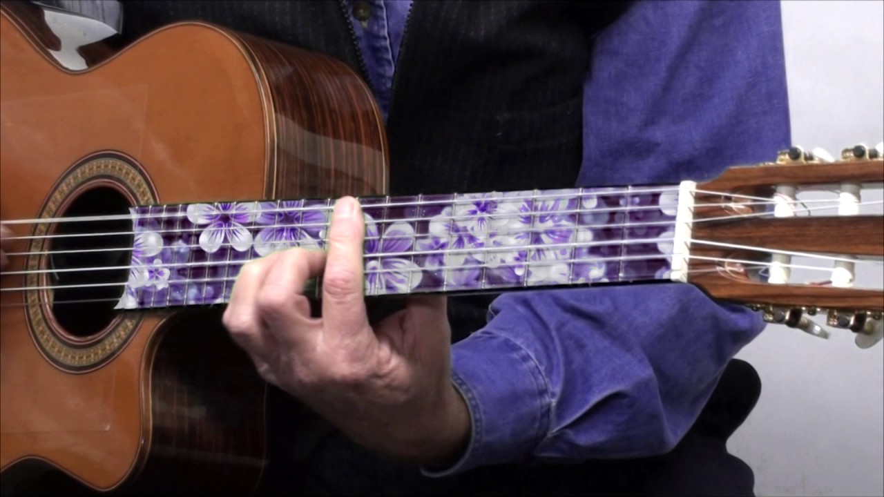 Randy Rane - Neck illusions green screen graphic fingerboard protector