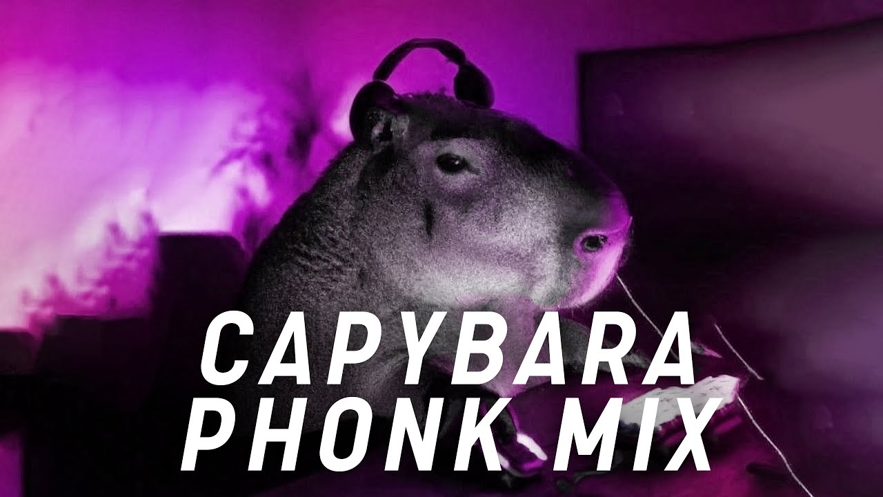 КАПИБАРА ФОНК 2023 | BANGER PHONK | PHONK HOUSE - KATEYDA