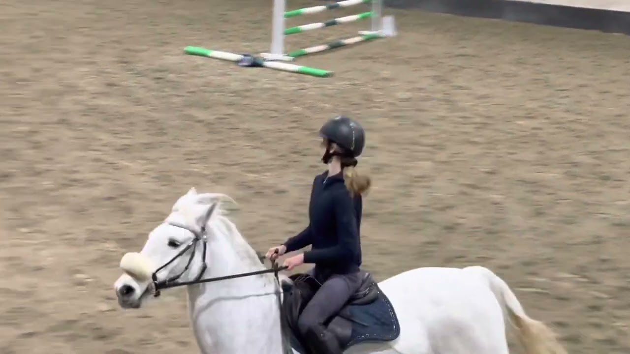 Cheekos Clover LD, bodens ridklubb
