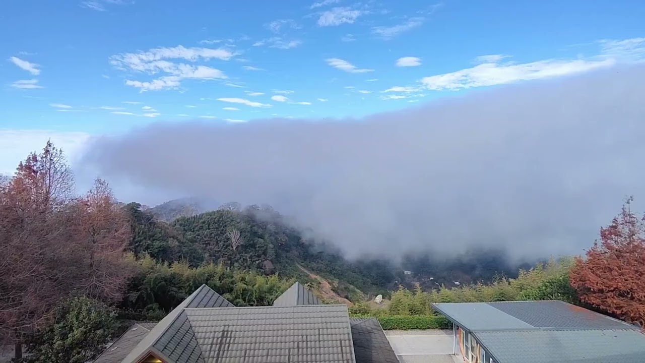 千軍萬馬排山倒海而來 變臉變得比我老婆還快🤣2026/01/31 09：00 #苗栗泰安 #忘憂小築露營區 #雲海#雲瀑 15分鐘縮時