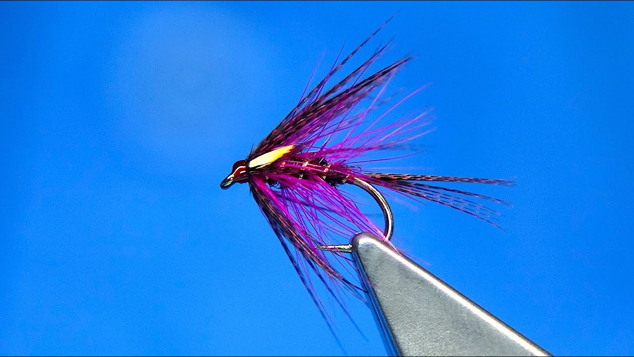 Tying a Cloaked Magenta Dabbler Loch Style Wet Fly with Davie McPhail