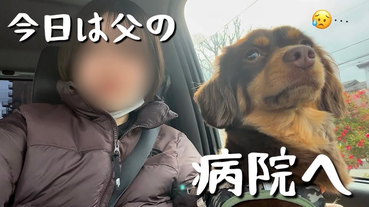 今日は父👨🏽の病院の日。