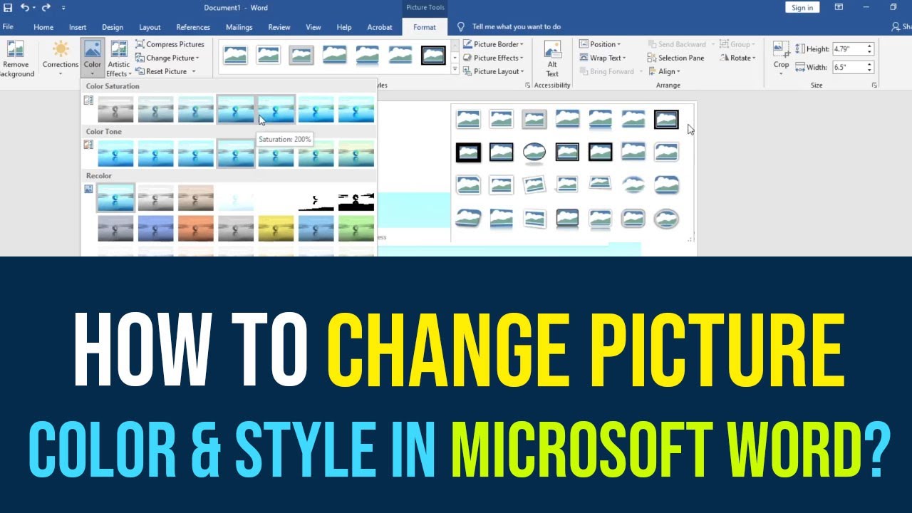 How To Change Picture Style and Colors Using Microsoft Word