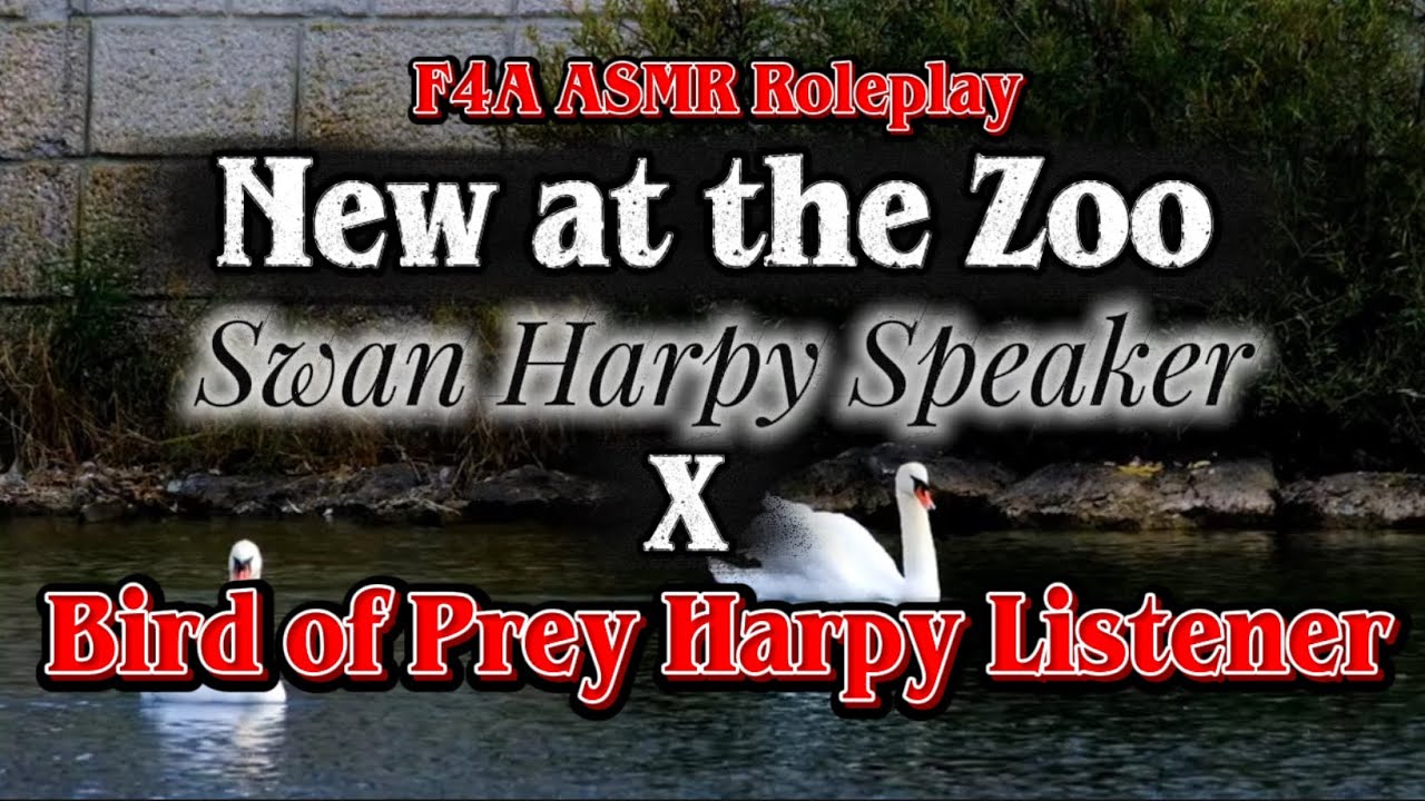 New at the Zoo [F4A] [Swan Harpy Speaker x Bird of Prey Harpy Listener] ASMR Roleplay