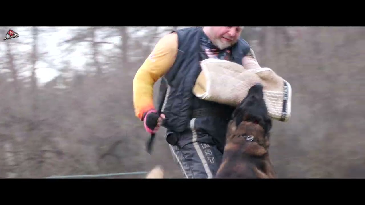 Cannibal Rebel Dog - Lukavica 22. 12. 2024