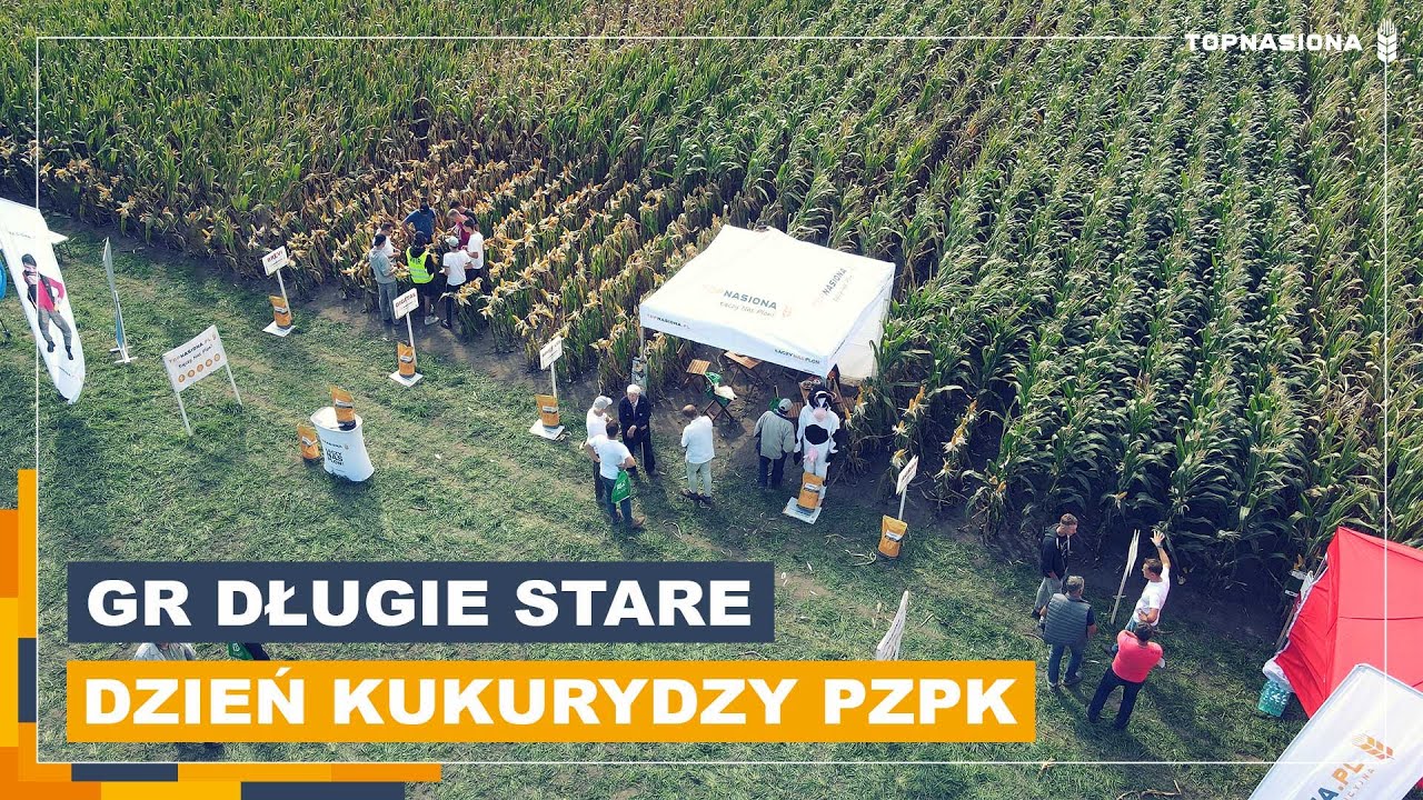 🌽 Krajowy Dzien Kukurydzy PZPK 2022 | GR Długie Stare | W Dniu Targowym | Top Nasiona