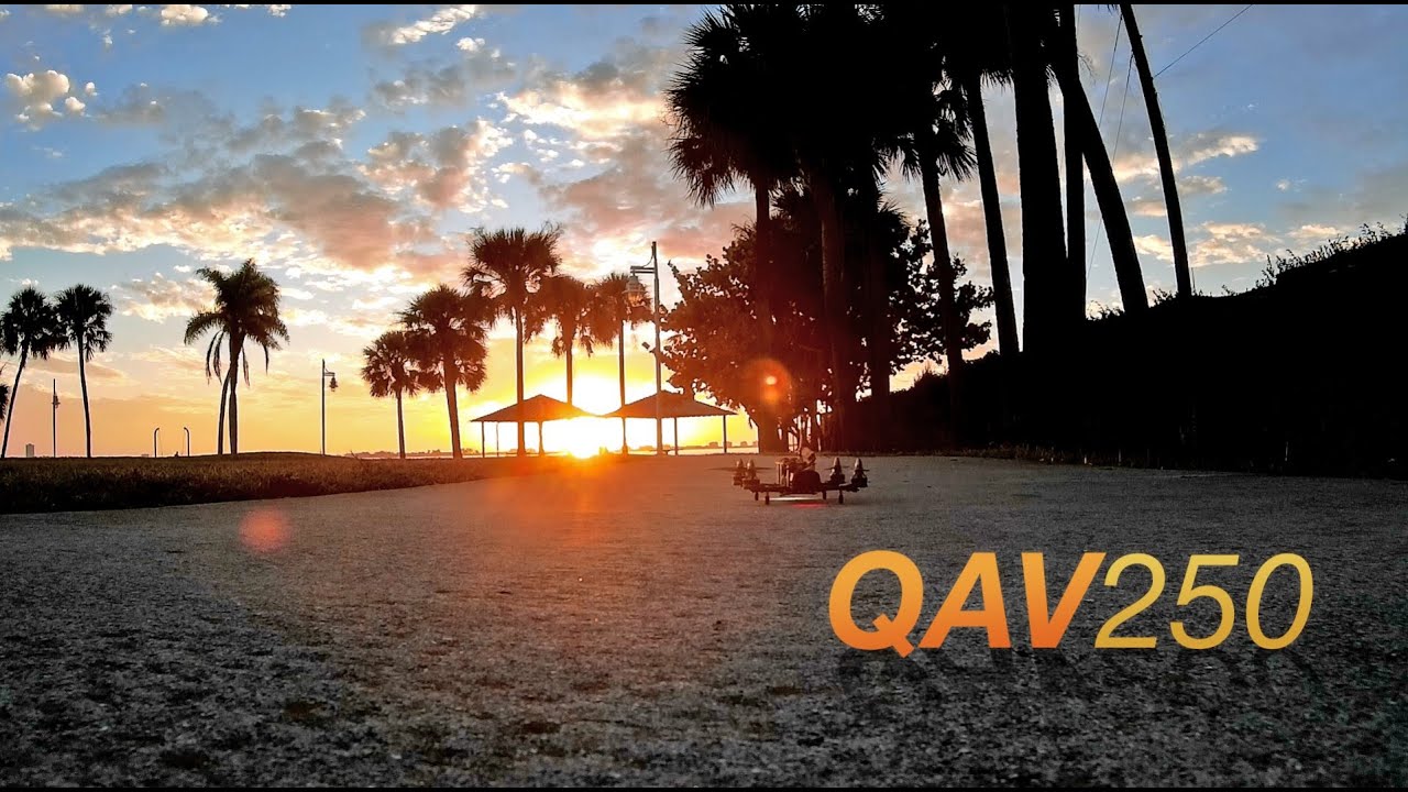Low and Fast - FPV - QAV250