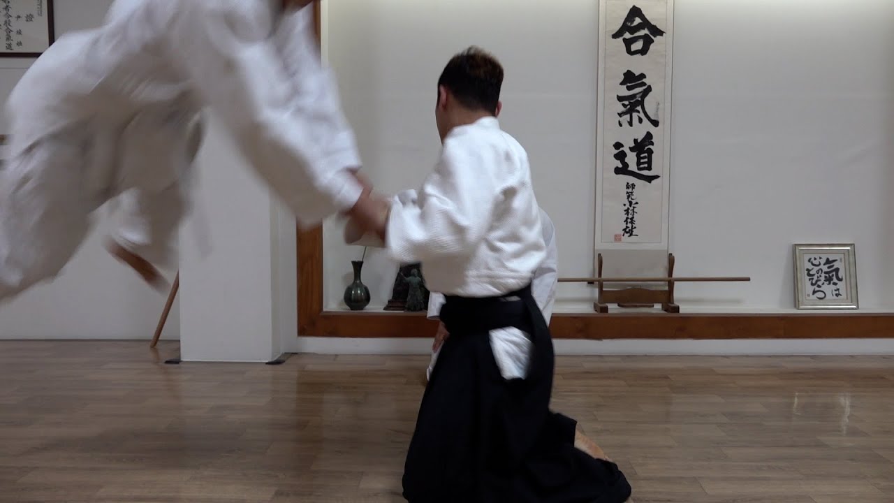 사람을 날리는 무술 아이키도 종합격투기에 통할까?!