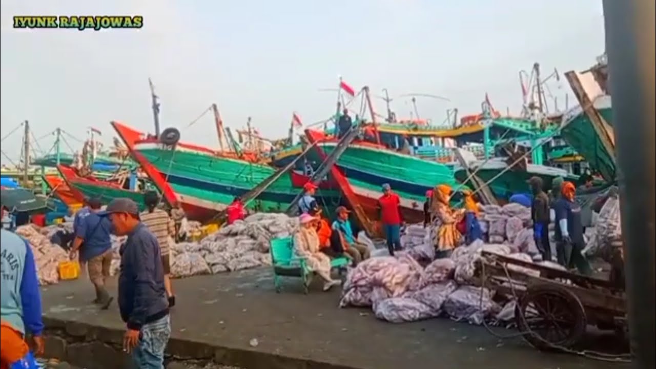 Pelabuhan Tegal puluhan nelayan cantrang bongkar ikan