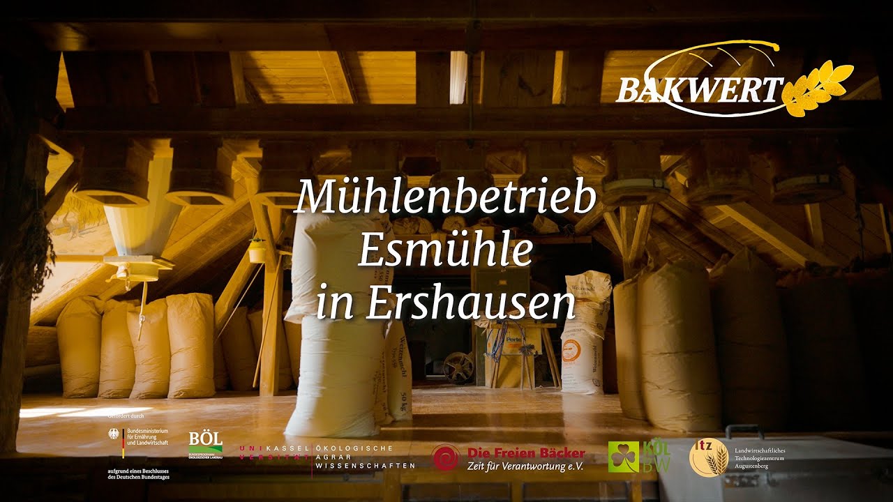 Heterogene Weizenpopulationen in der Praxis - Vermahlung in der Esm&uuml;hle
