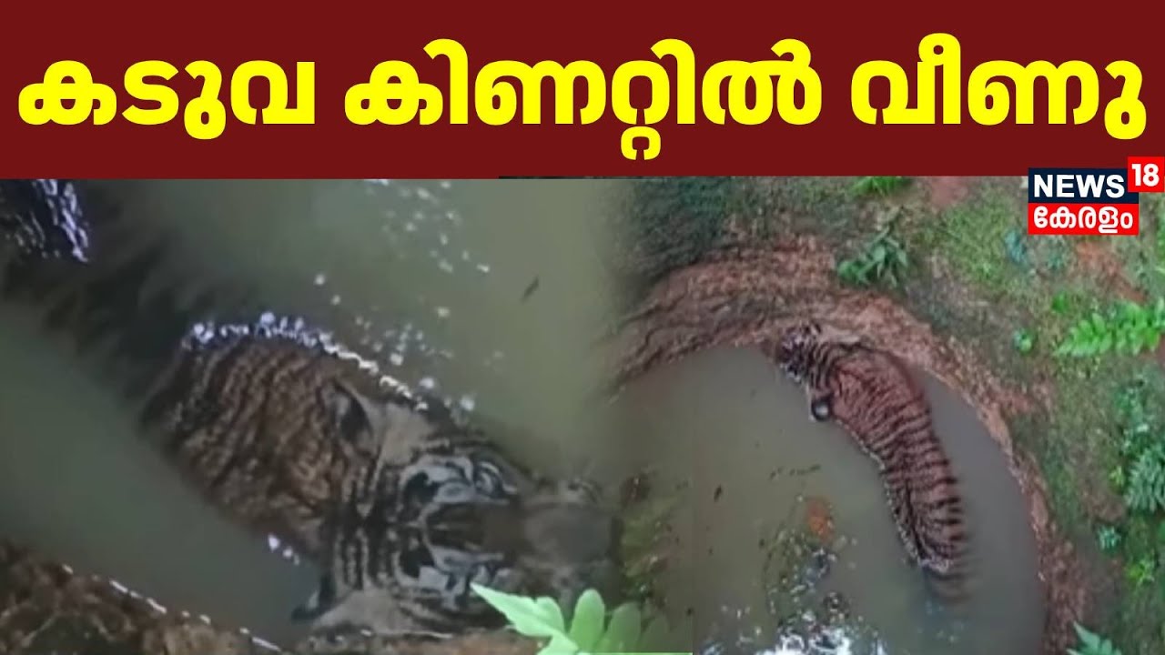 പത്തനംതിട്ട ചിറ്റാറിൽ കടുവ കിണറ്റിൽ വീണു | Pathanamthitta | Tiger | Forest Department | Chittar