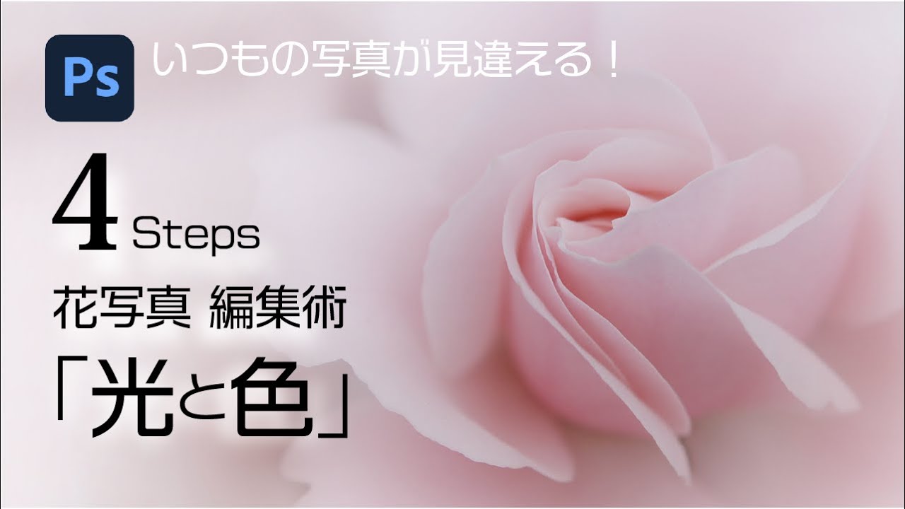 【花写真の編集術 】いつもの花写真を、光と色でドラマチックに変身させていく手順をご紹介。