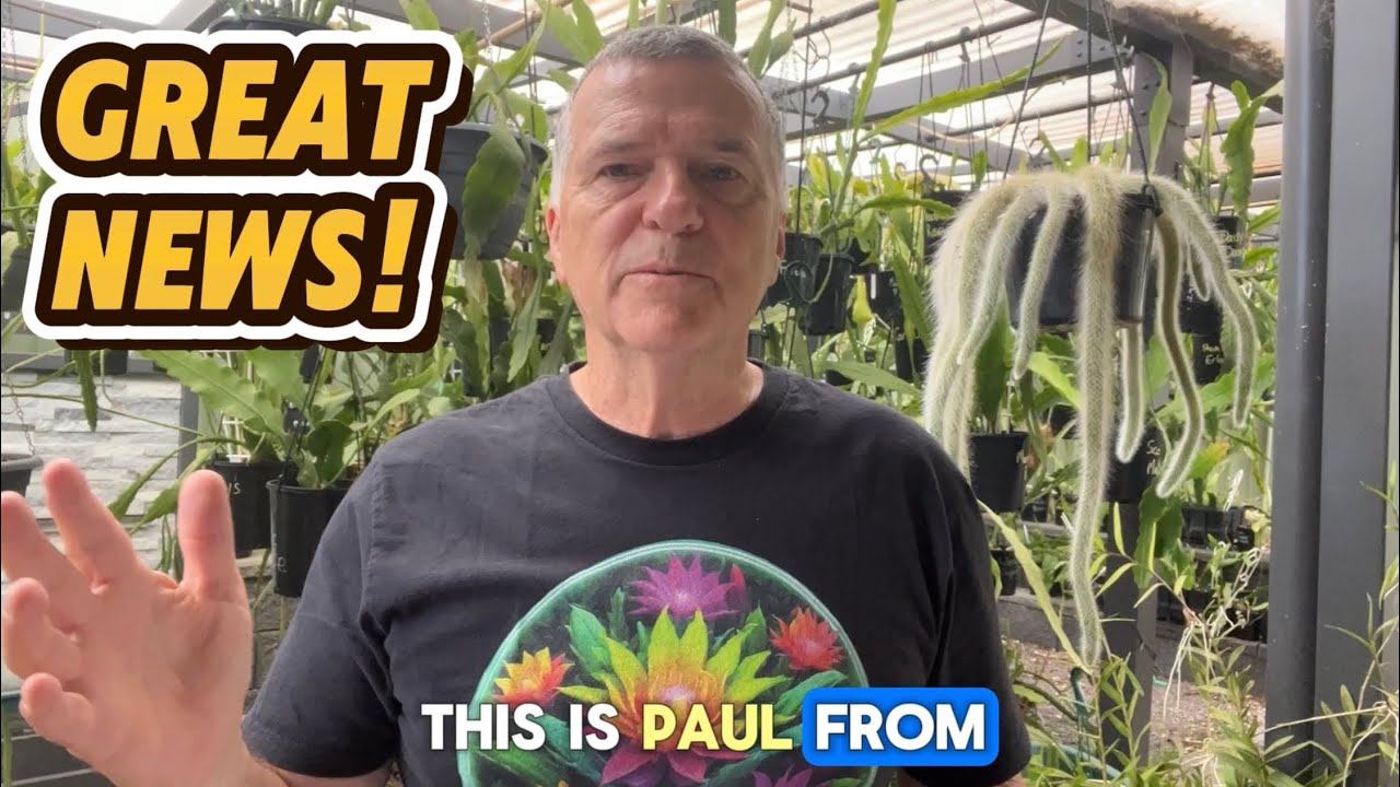 Great News!