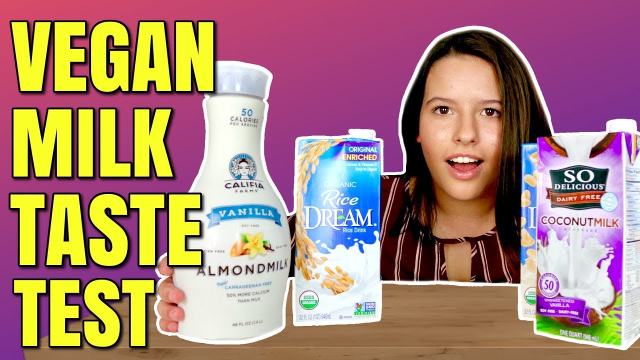 Vegan Milk Review / Non Dairy Milk Taste Test