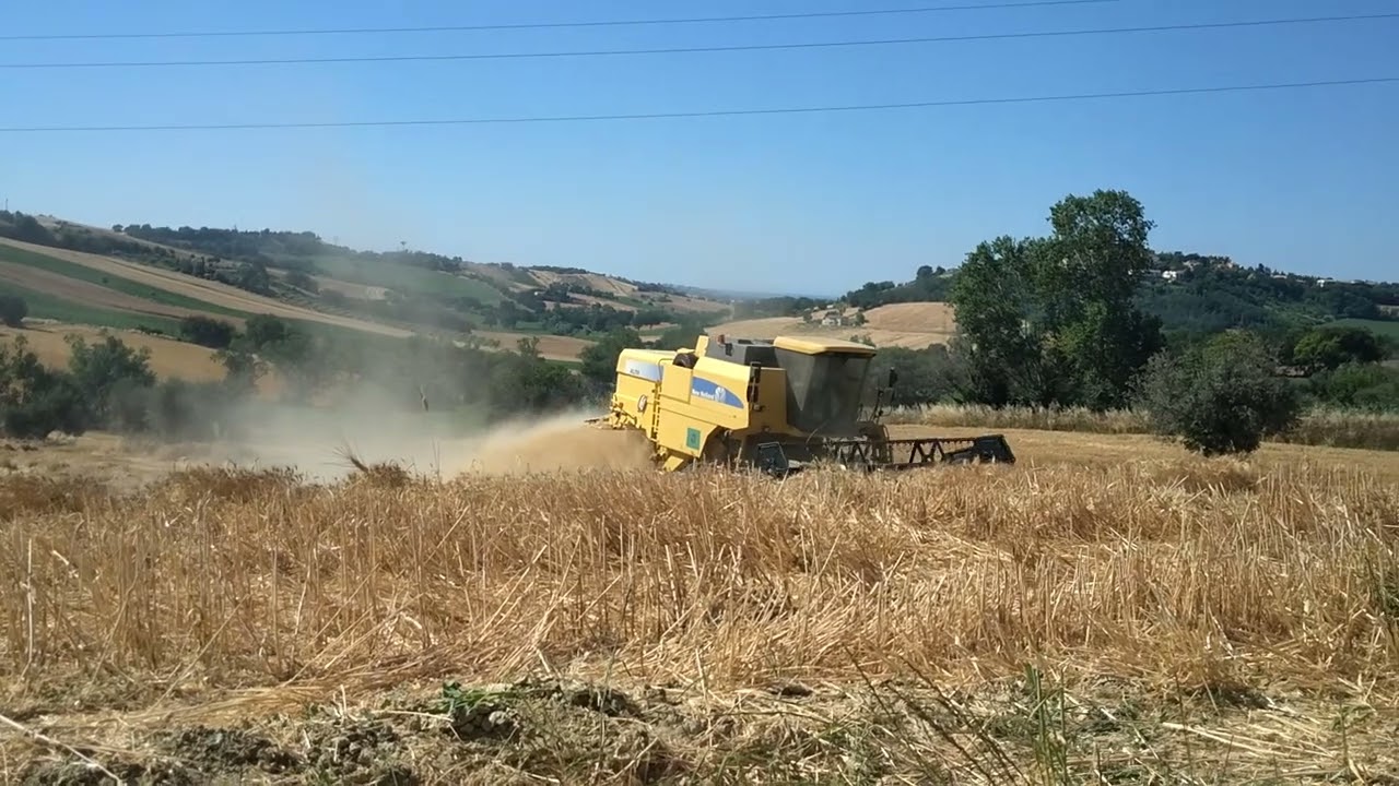 trebbiatura grano 2022