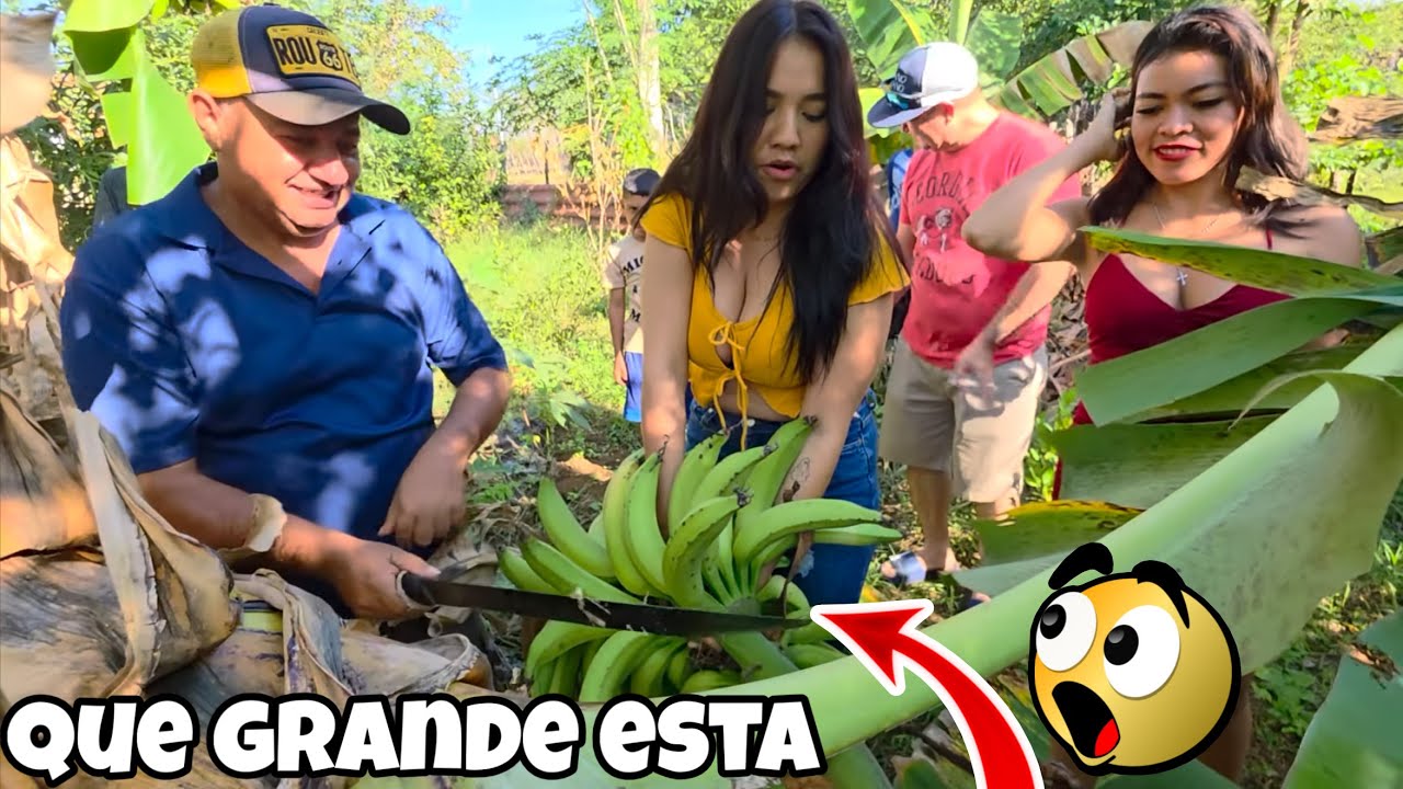 El Tio Moncho Nos Regalo Un Racimo De guineos😱Para Nano Nano❤️