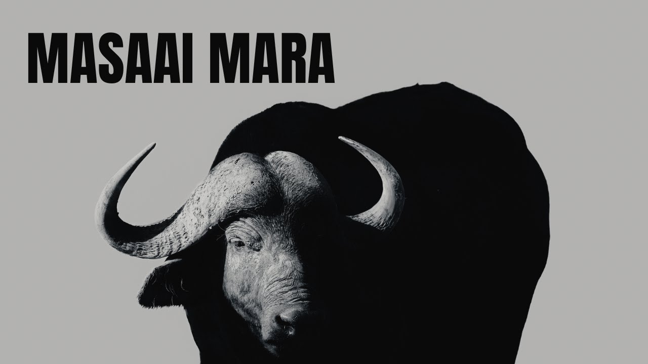 Photographer in love with the Maasai Mara