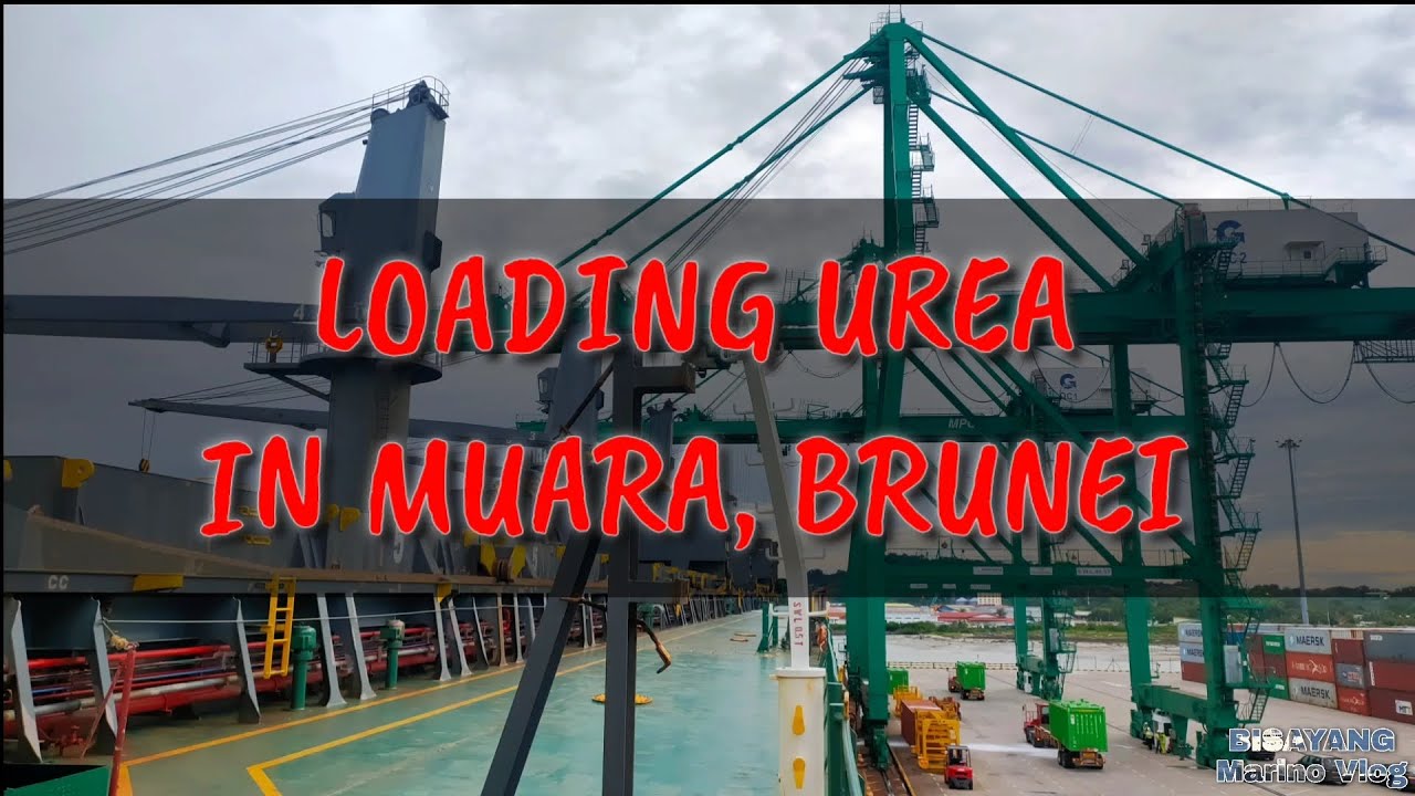 Loading UREA in Muara, Brunei / Fertilizer /BisayangMarinoVlog