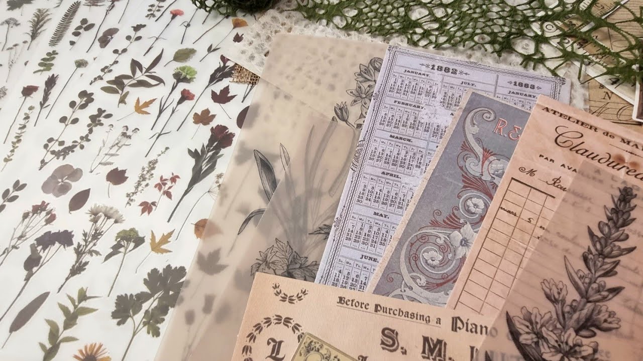 Taperlogy Unboxing Featuring A Special Guest - Junk Journal Supplies