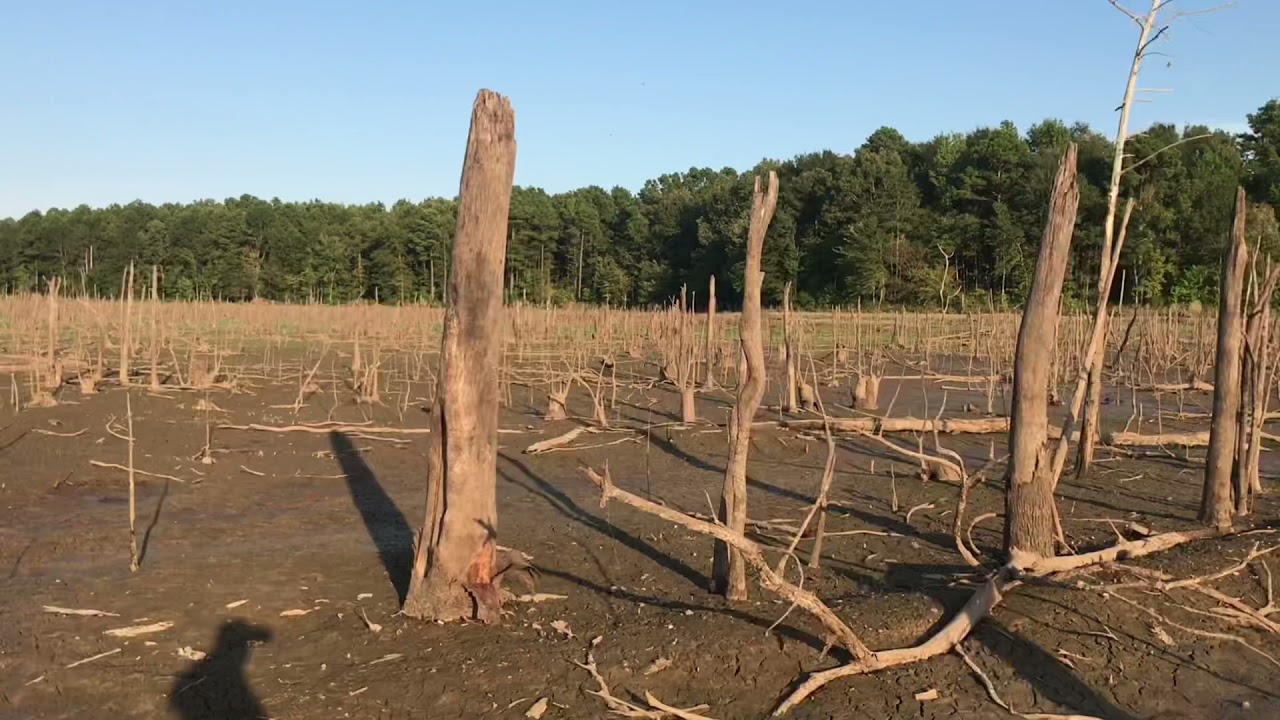 Lake Monticello Footage We Took While Doing The Draining of Lake Monticello Series