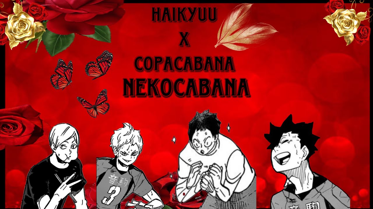 ||Haikyuu x Copacabana//Nekocabana||Yakkun_||