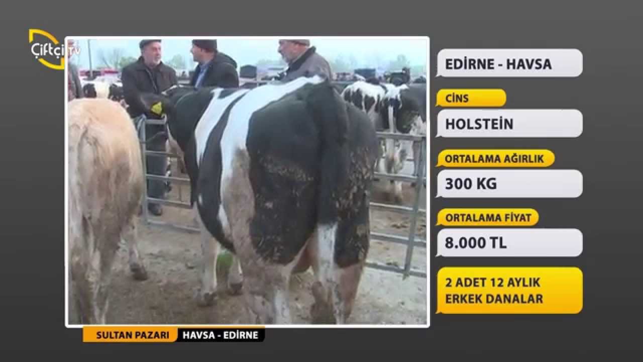 SULTAN PAZARI - EDİRNE HAVSA