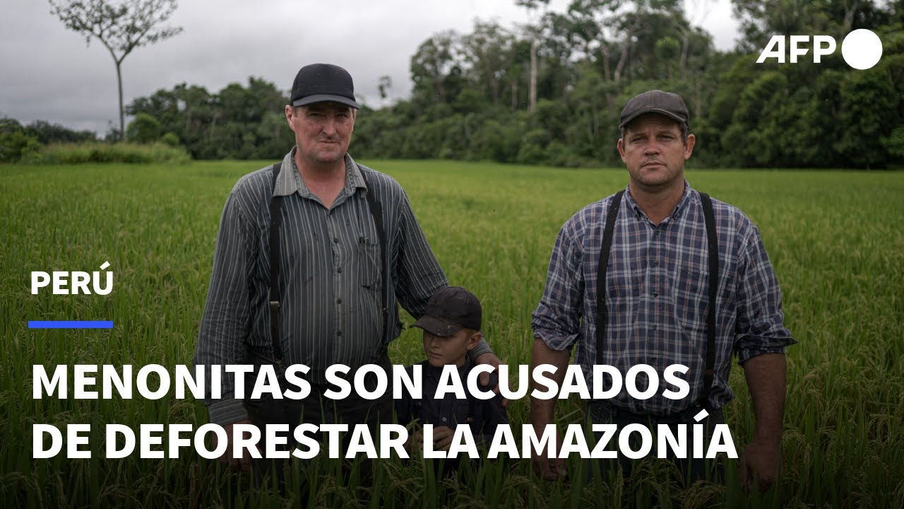 Flechas contra tractores: expansi&oacute;n menonita aviva pugna en Amazon&iacute;a peruana | AFP