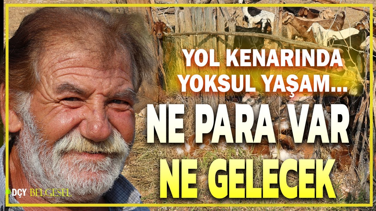 Yoksulluk Mesaisi - Çobanları hor görüyorlar -  Tatil yolunda unutulan hayat