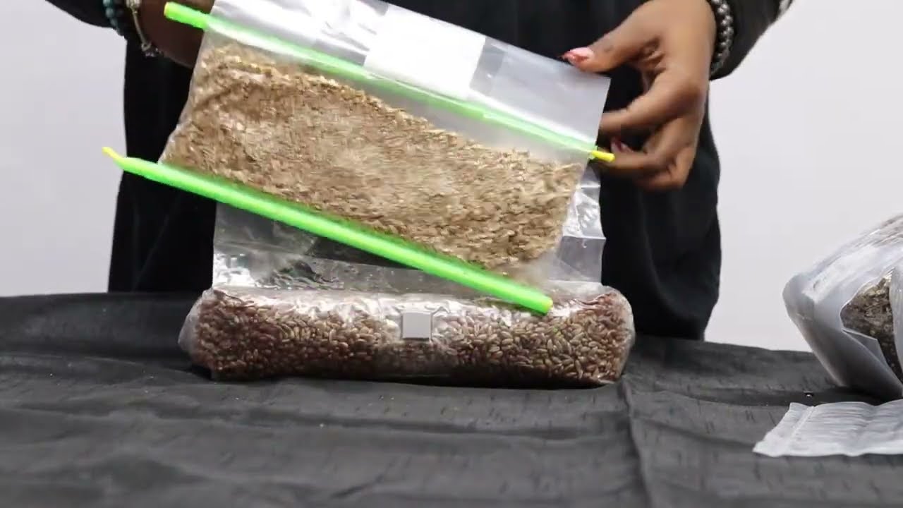 SPRINKLEBAGS. THE NEXT GENERATION OF RYE GRAIN MUSHROOM GROWING KITS