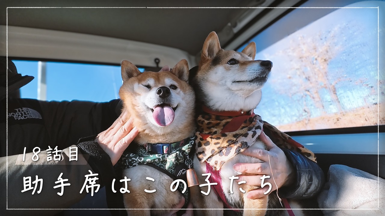 柴犬が軽トラの助手席｜冬の八ヶ岳で暮らす50代の田舎移住生活