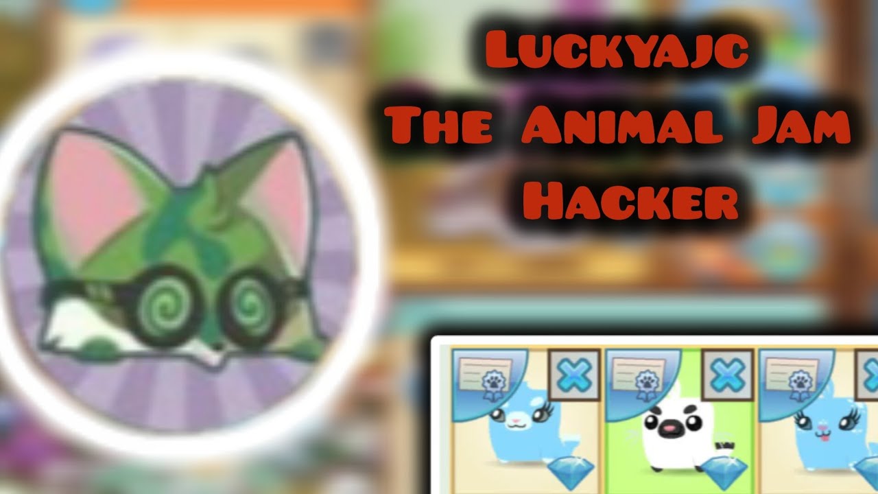 Разоблачение хакера Animal Jam Luckyajc