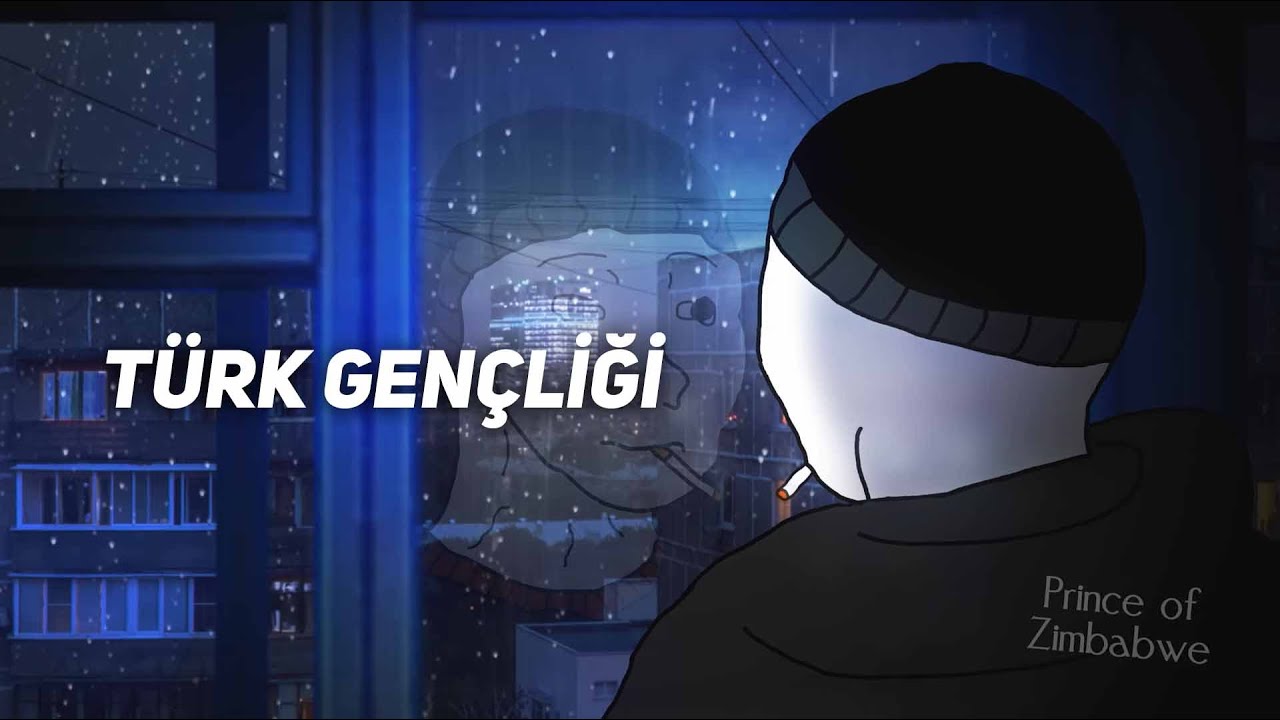 türk gençliği