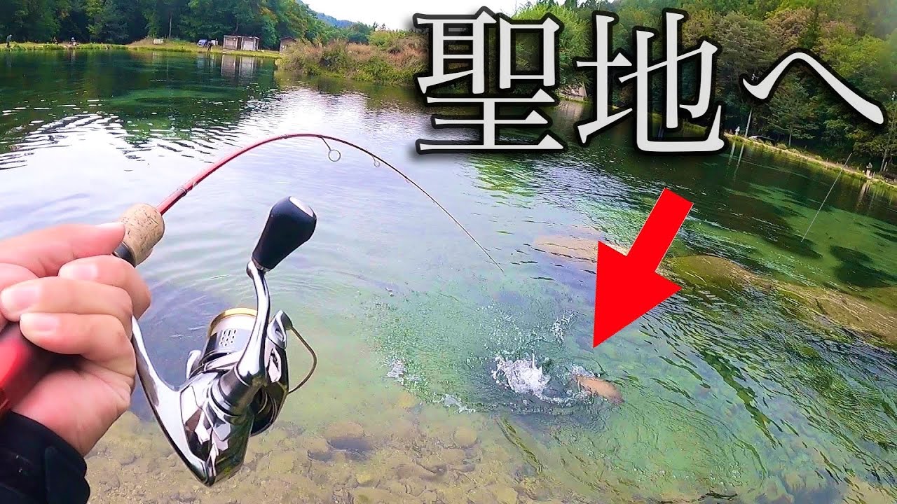 王の管理釣り場へ。聖地巡礼。【エリアトラウト】