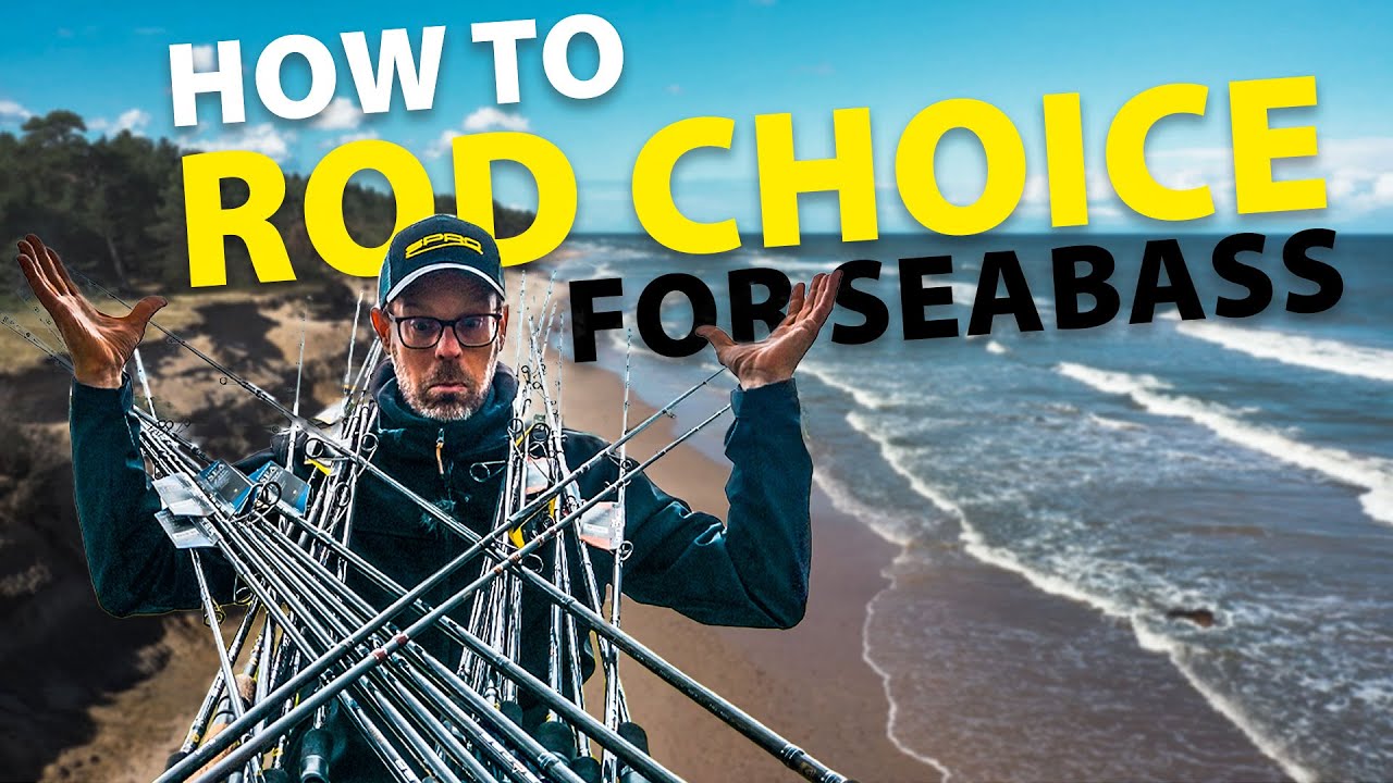 SPRO - How To Pick THE BEST Rod for Lure Fishing For Seabass