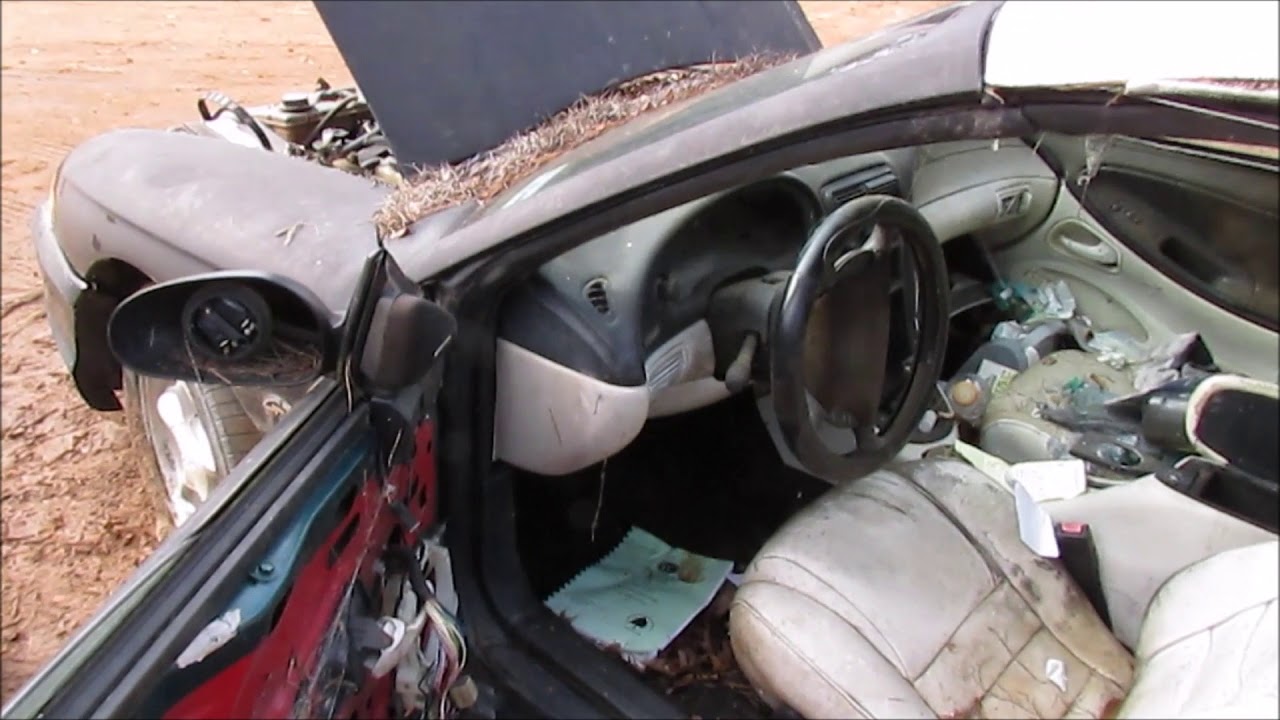 Abandoned Mustang GT 