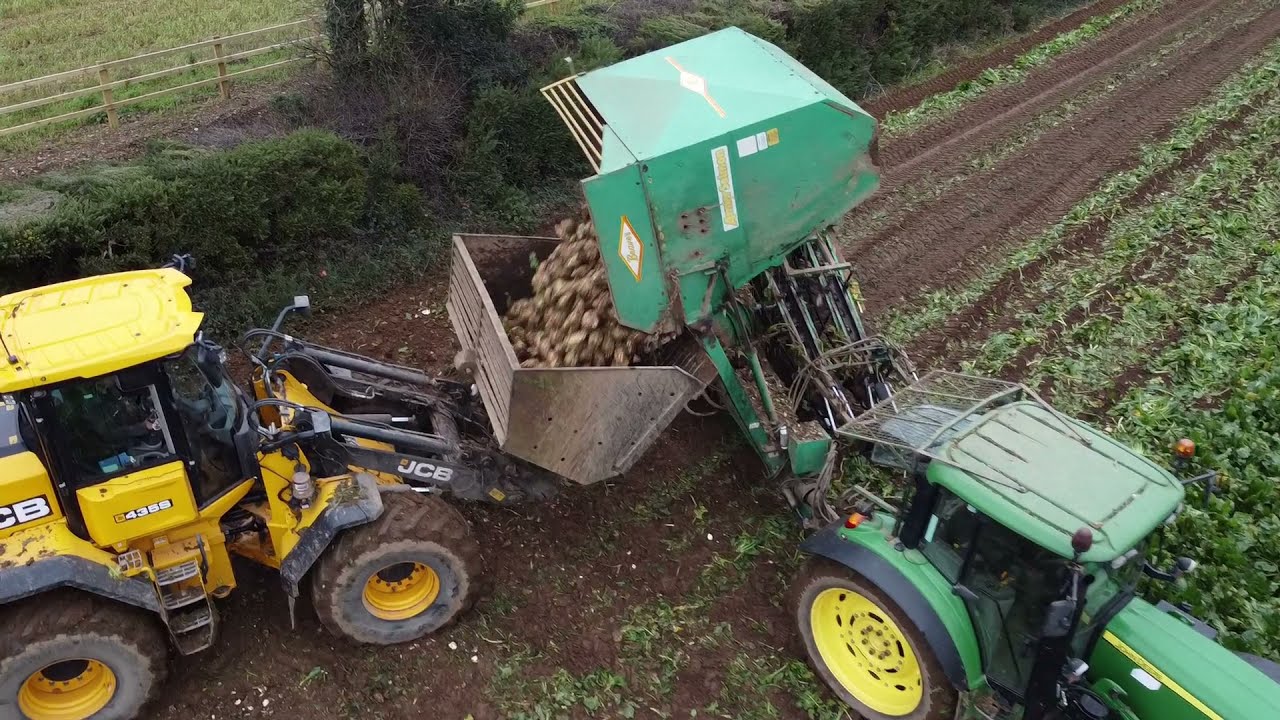 Michael Ryan & Son ~ Pulling Beet ( New Ross )