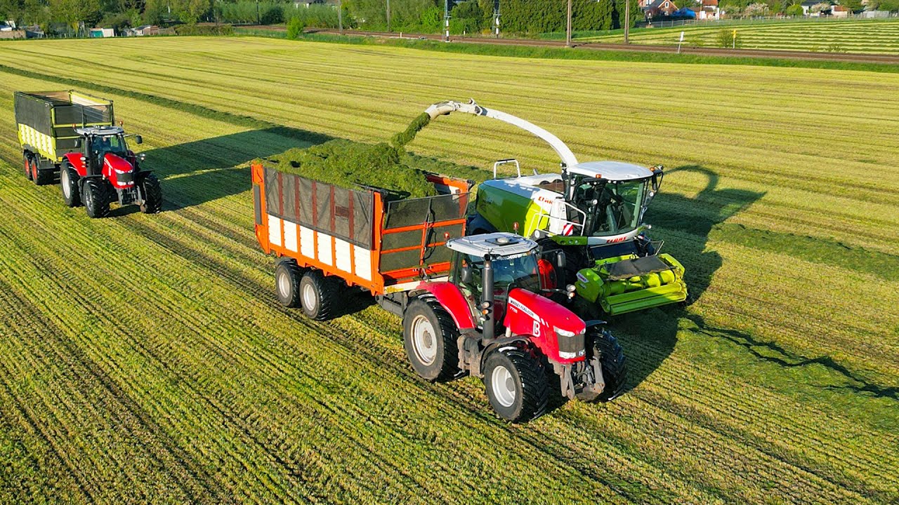 Gras Hakselen | Claas Jaguar 940 + Massey Ferguson + Werklust | Boschloo Gorssel | 2024