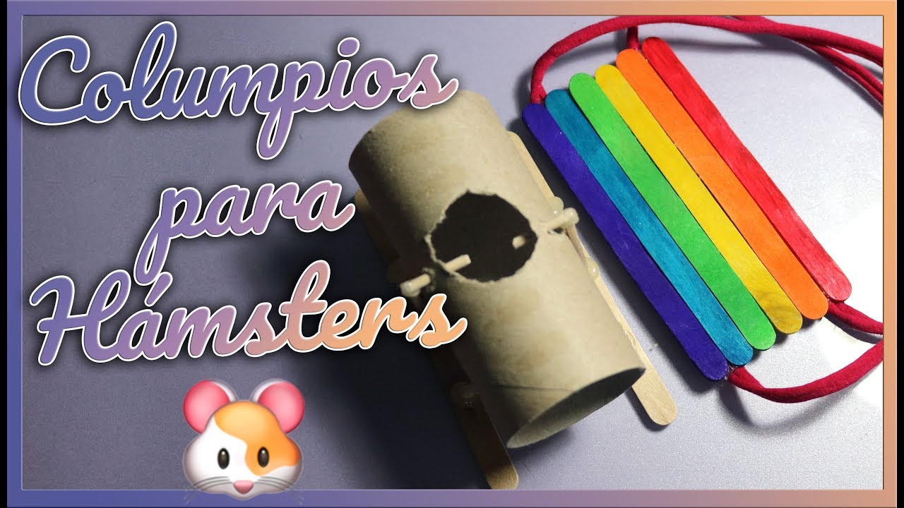 ¡NUEVOS JUGUETES PARA HAMSTERS! DIY Columpios fáciles y rápidos| MOA's World