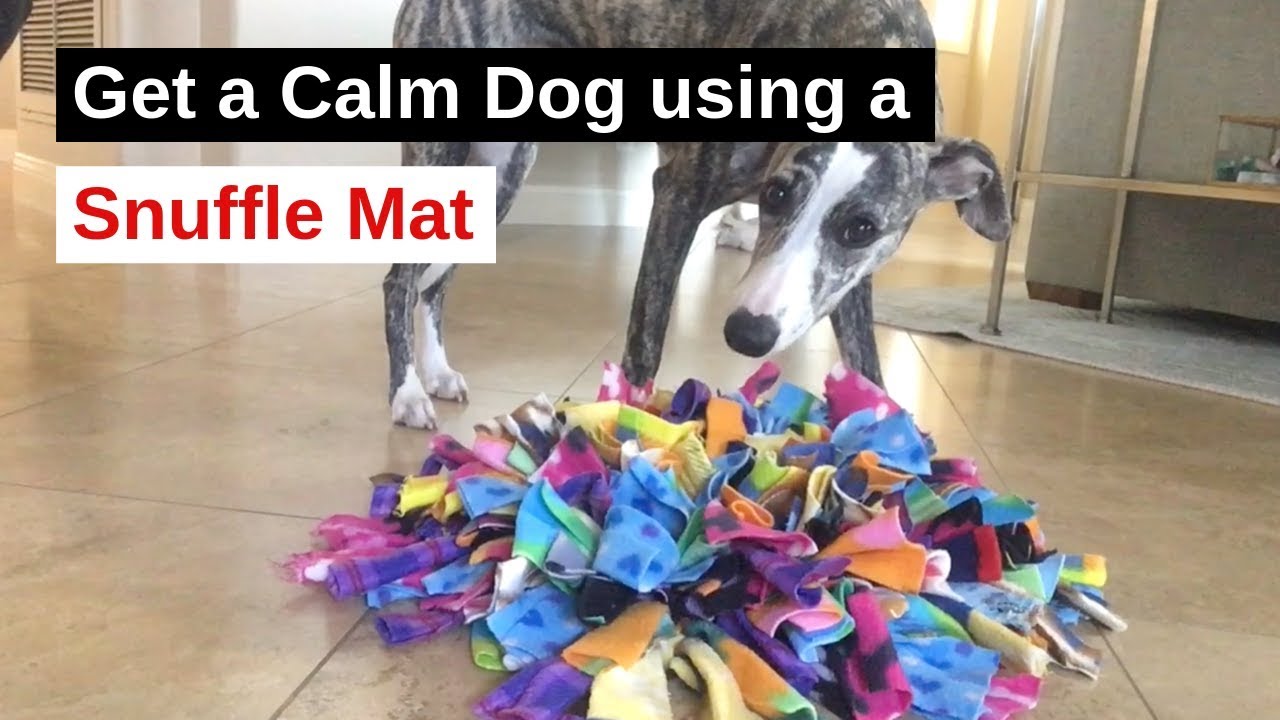 Get a Calm Dog Using a Snuggle Mat Brain Game