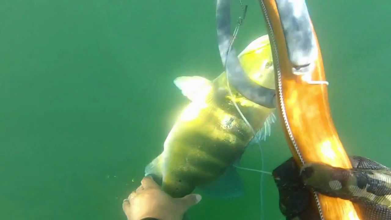Piabanha e tucunar&eacute; com divecom de madeira em &aacute;guas cristalinas