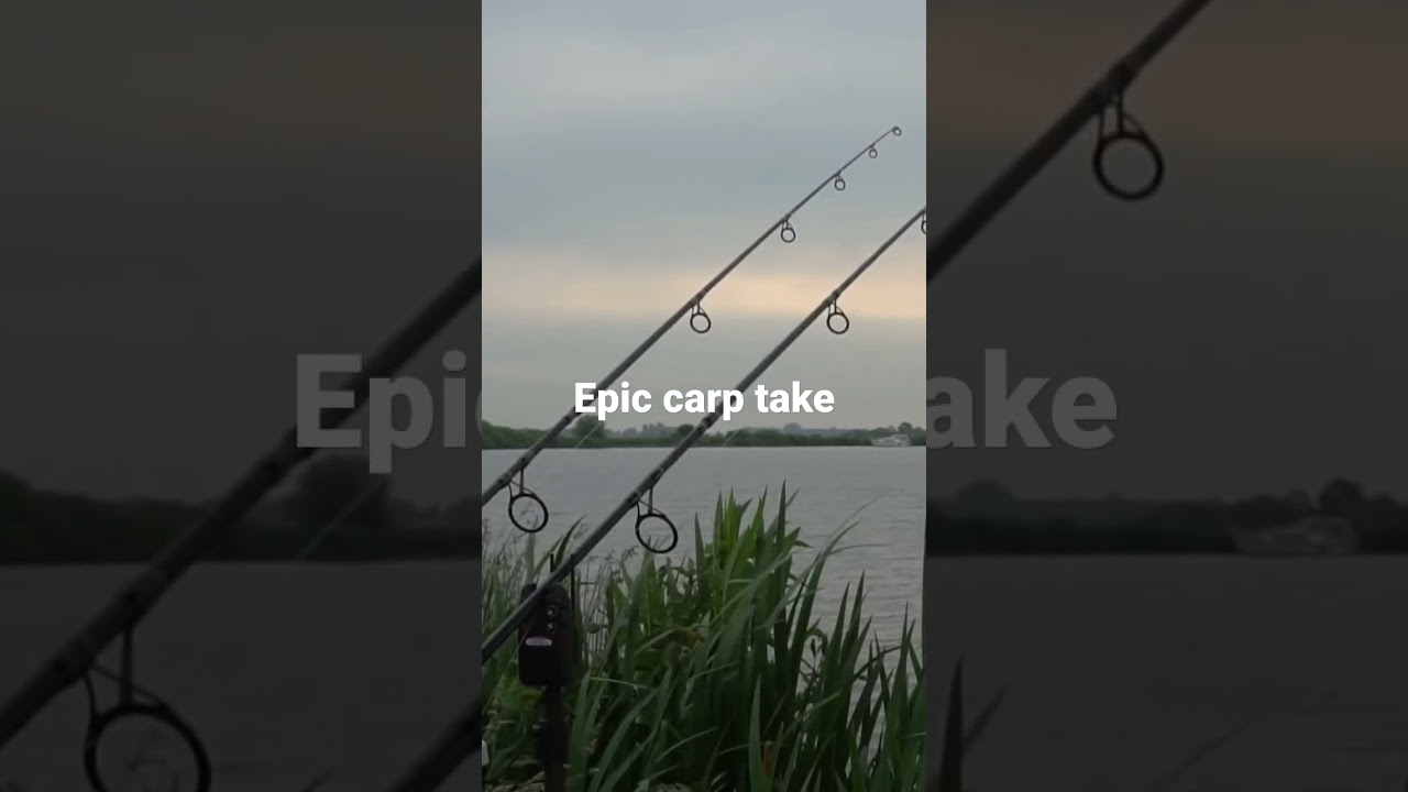 #carpfishing #fishing #hengelsport #karpervissen #karpfenanglen #vissen #karpfenanglen #peche
