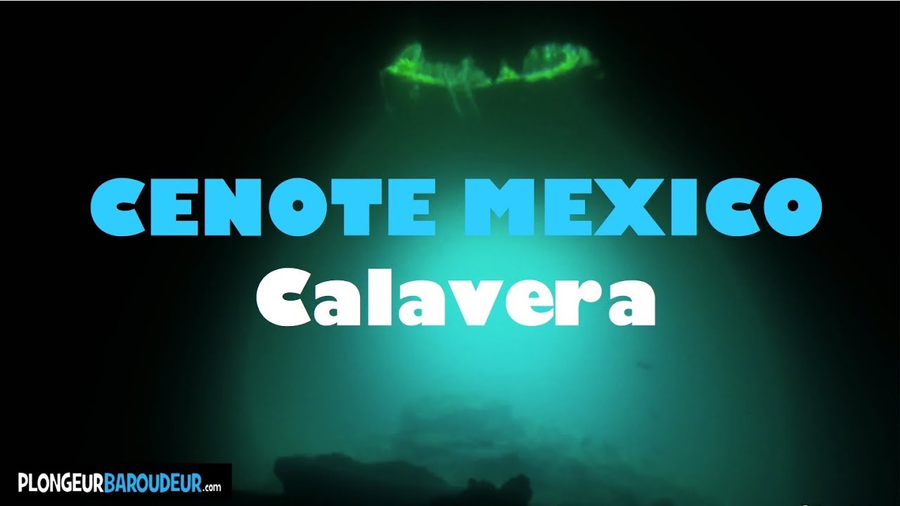 Best Diving Cenote Mexico Calavera - Plong&eacute;e Cenote Calavera Mexique