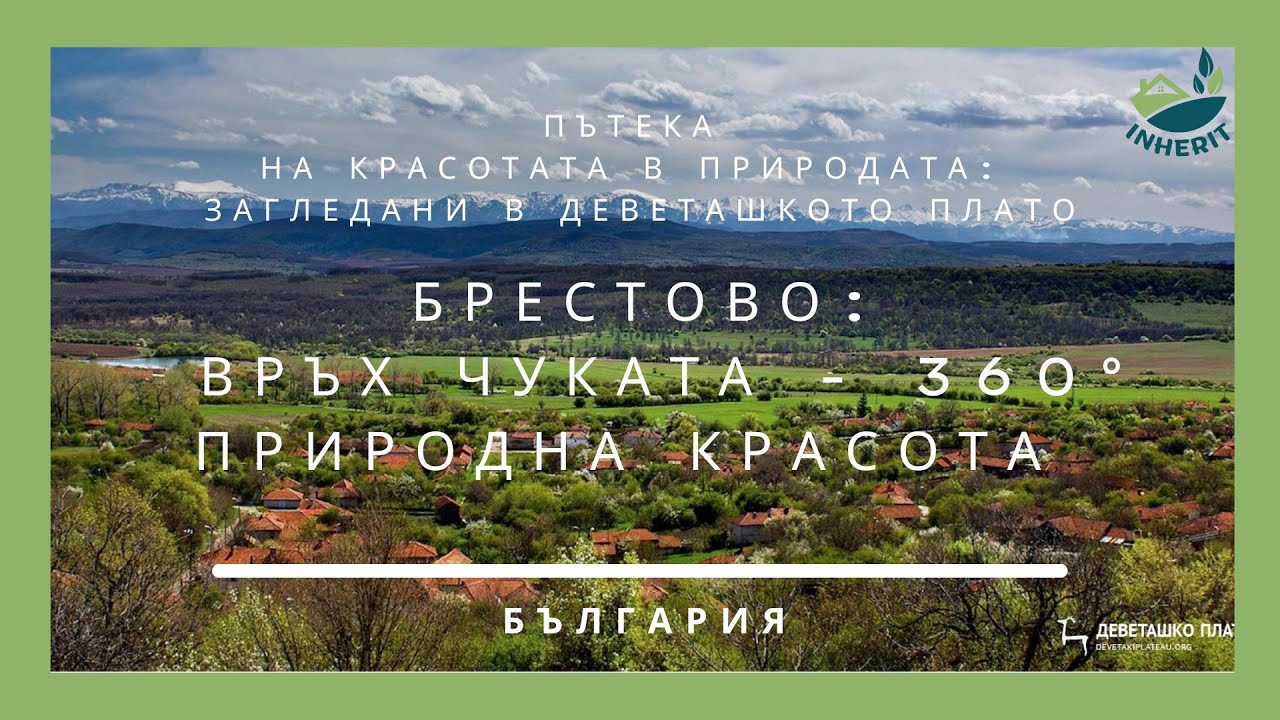 13 Teaser 9 Brestovo BG
