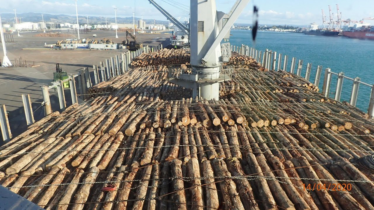 Loading Logs (Cargo/Bulk) Daiwan Dolphin New Zealand