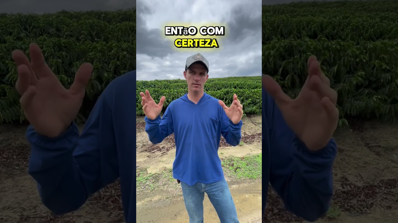 Quantos hectares &eacute; um alqueire de terra?