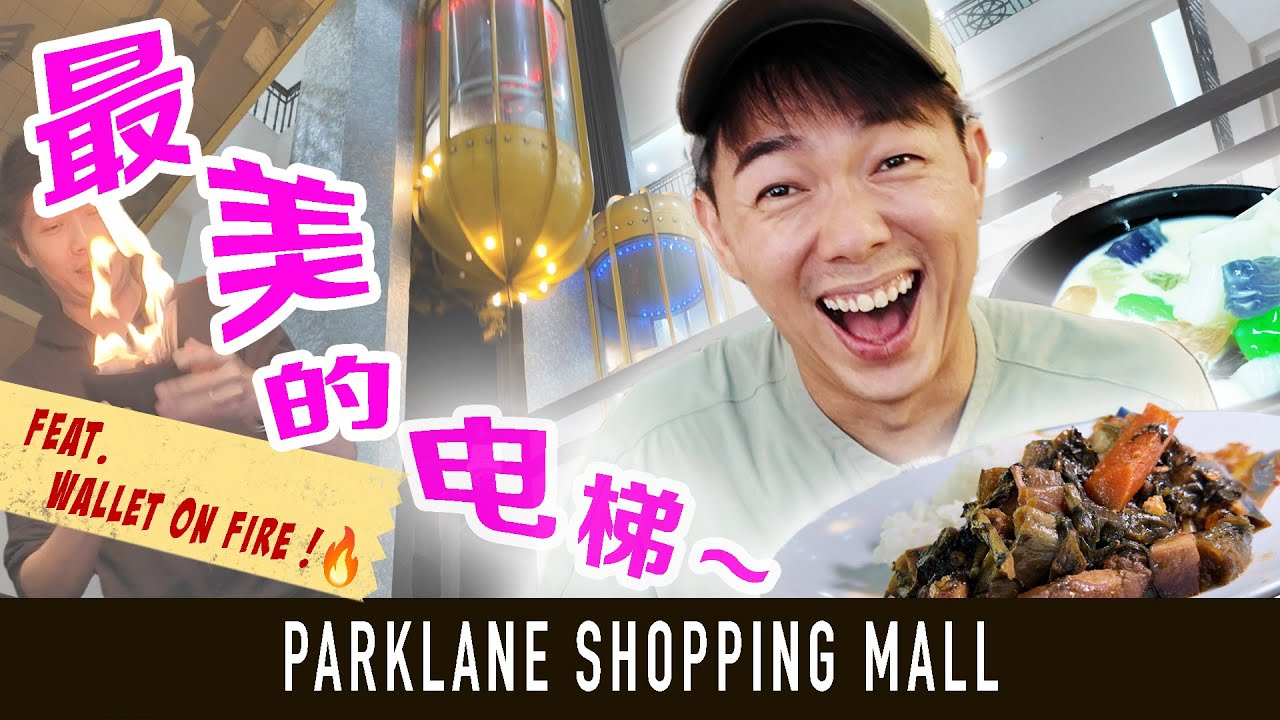 The Most Beautiful Lift in Singapore! Affordable Yummy Caifan 全新加坡最漂亮的电梯？Parklane Shopping Mall